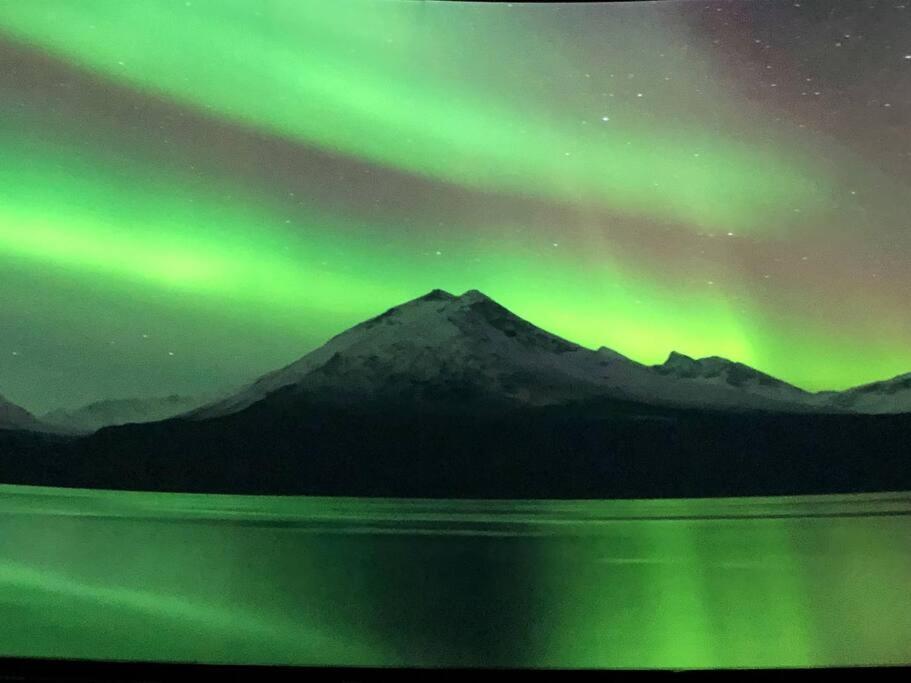 Northern Light トロムソ エクステリア 写真